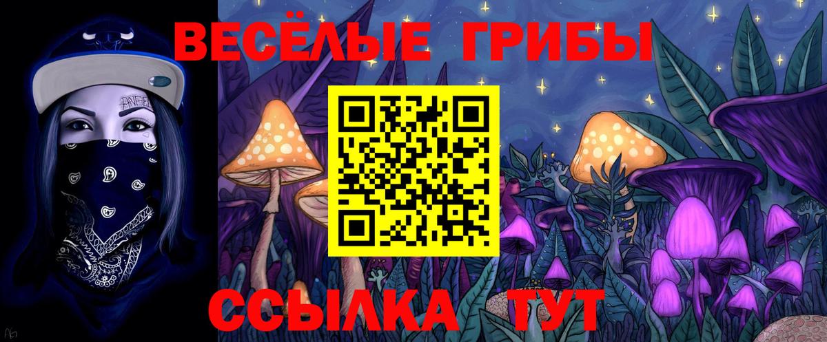 Галлюциногенные грибы Psilocybe  Вход с VPN  Верхняя Салда 