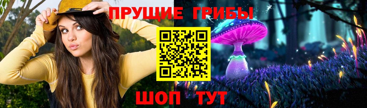 Псилоцибиновые грибы прущие грибы Верхняя Салда